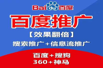 某电商平台的SEM广告投放策略及效果评估